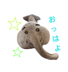 キヒロ☆の白い毛玉（個別スタンプ：1）