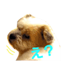 キヒロ☆の白い毛玉（個別スタンプ：8）