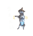 キヒロ☆の白い毛玉（個別スタンプ：26）