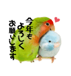 小桜インコラッキー＆マメルリハそらお正月（個別スタンプ：2）