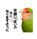 小桜インコラッキー＆マメルリハそらお正月（個別スタンプ：6）
