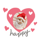猫のフィグ（個別スタンプ：4）