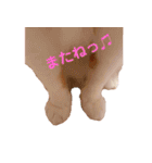 猫のフィグ（個別スタンプ：9）
