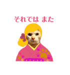 ねこのミーさんといぬのマーさん（個別スタンプ：24）