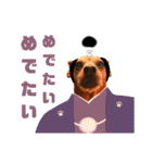 ねこのミーさんといぬのマーさん（個別スタンプ：28）