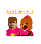 ねこのミーさんといぬのマーさん（個別スタンプ：40）