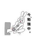 筋肉マッチョうさぎさんの日常（個別スタンプ：20）