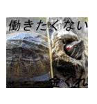 たふぁさんのモンスターたちとペット（個別スタンプ：36）