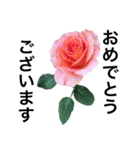 yasuおばさんの薔薇言葉 R1（個別スタンプ：2）