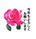 yasuおばさんの薔薇言葉 R1（個別スタンプ：3）