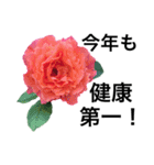 yasuおばさんの薔薇言葉 R1（個別スタンプ：4）