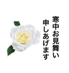 yasuおばさんの薔薇言葉 R1（個別スタンプ：9）