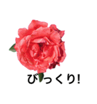 yasuおばさんの薔薇言葉 R1（個別スタンプ：27）