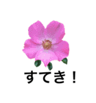 yasuおばさんの薔薇言葉 R1（個別スタンプ：30）