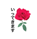 yasuおばさんの薔薇言葉 R1（個別スタンプ：36）