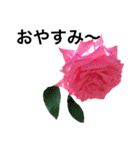 yasuおばさんの薔薇言葉 R1（個別スタンプ：39）