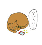 やましたとねこ（個別スタンプ：7）