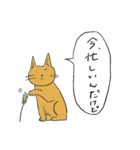 やましたとねこ（個別スタンプ：13）