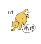 やましたとねこ（個別スタンプ：16）