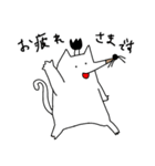 にゃんまげもぐら（個別スタンプ：35）