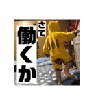 荒ぶる乳児とボウズの日々（個別スタンプ：20）