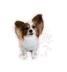 なな×あん×ときどきそら（個別スタンプ：4）