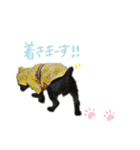 なな×あん×ときどきそら（個別スタンプ：6）