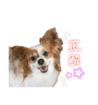 なな×あん×ときどきそら（個別スタンプ：8）
