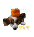 なな×あん×ときどきそら（個別スタンプ：9）