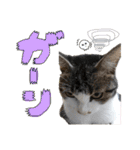 なな×あん×ときどきそら（個別スタンプ：11）