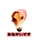 buono君スタンプ（個別スタンプ：8）