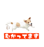 buono君スタンプ（個別スタンプ：9）