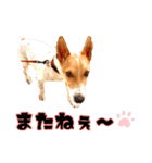 buono君スタンプ（個別スタンプ：15）