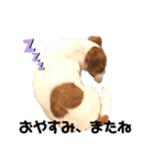 buono君スタンプ（個別スタンプ：16）