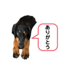 そらみスタンプ（個別スタンプ：2）
