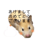 ゴールデンハムスター 新年（個別スタンプ：2）