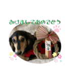 まるこ16（個別スタンプ：7）