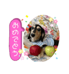まるこ16（個別スタンプ：12）