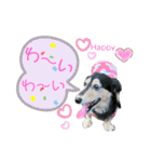 まるこ16（個別スタンプ：14）