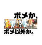 ぽめんぷ2（個別スタンプ：1）