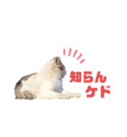 生暖かく見守ってくださいニャ 4（個別スタンプ：1）