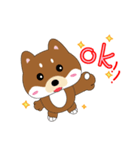 柴犬の毎一日（個別スタンプ：1）