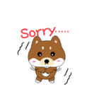 柴犬の毎一日（個別スタンプ：2）