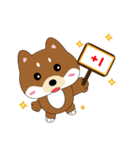 柴犬の毎一日（個別スタンプ：3）