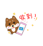 柴犬の毎一日（個別スタンプ：4）