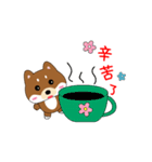 柴犬の毎一日（個別スタンプ：5）