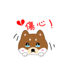 柴犬の毎一日（個別スタンプ：7）