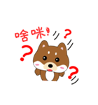柴犬の毎一日（個別スタンプ：9）