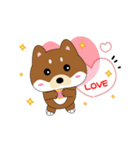 柴犬の毎一日（個別スタンプ：10）