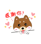 柴犬の毎一日（個別スタンプ：13）
